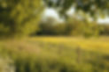 PEMBERTON_GREEN_FIELDS_WEB.jpg