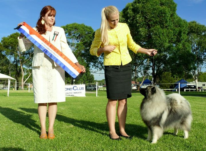 Reserve Bitch Challenge, Best Junior in Show_Ch Rymiska Diamond Jubilee (Lizzy)