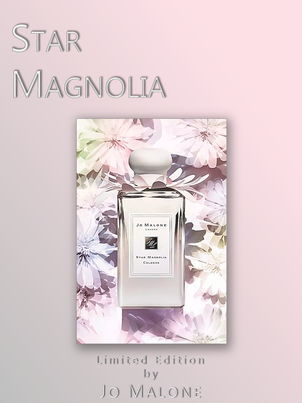 Star Magnolia