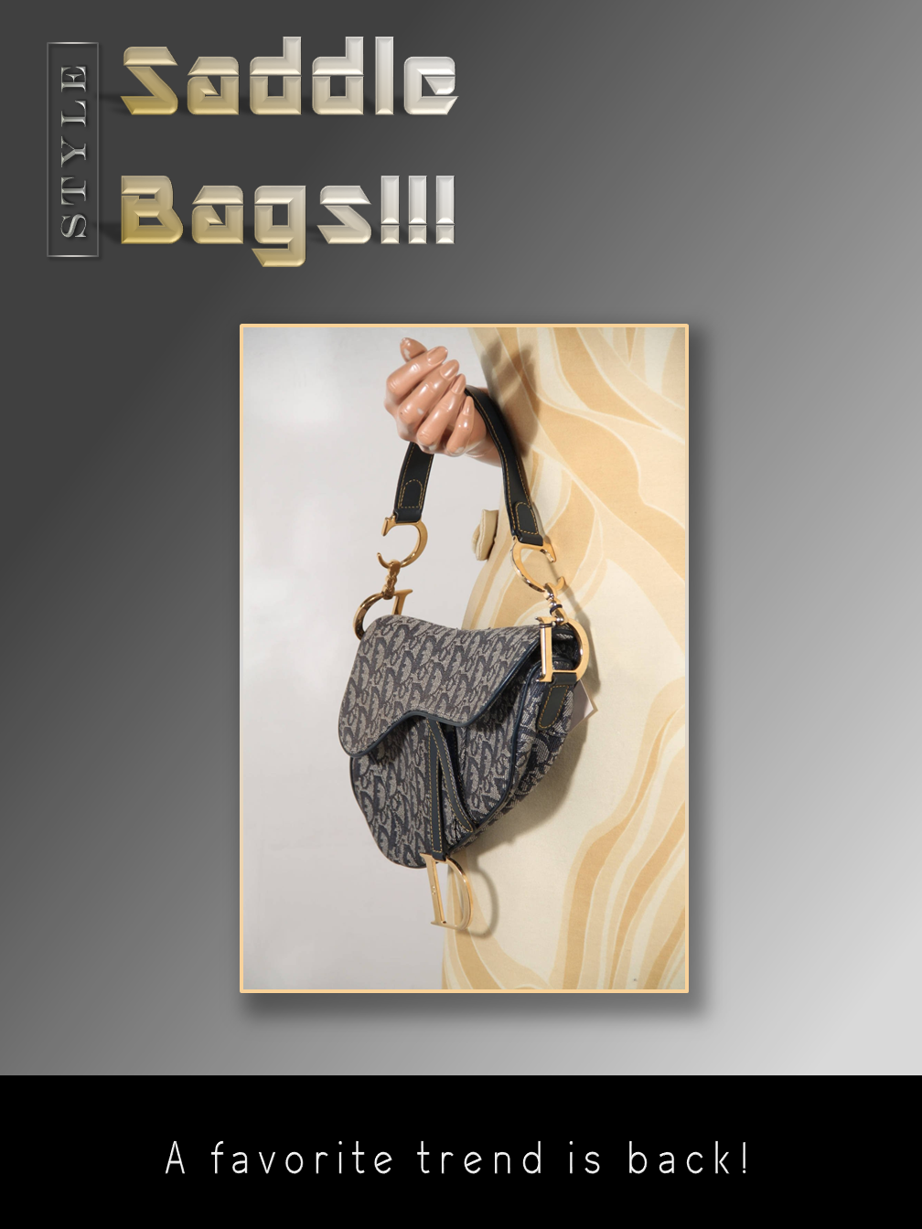 Saddle Bags