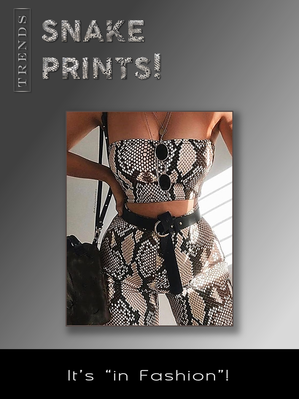 Snakes Prints