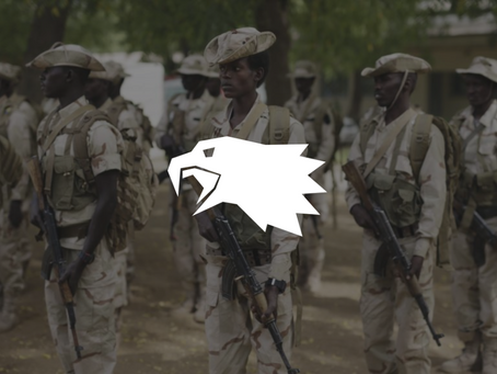 Chadian Government, Rebels Commence Peace Talks in Qatar