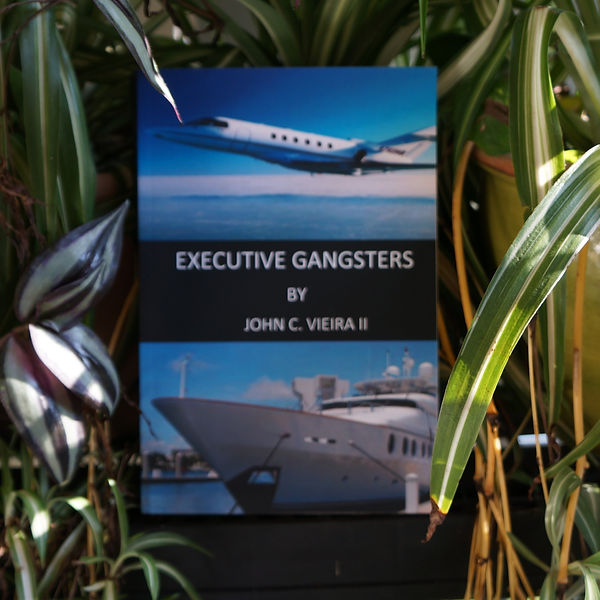 Executive Gangsters Web 1.JPG