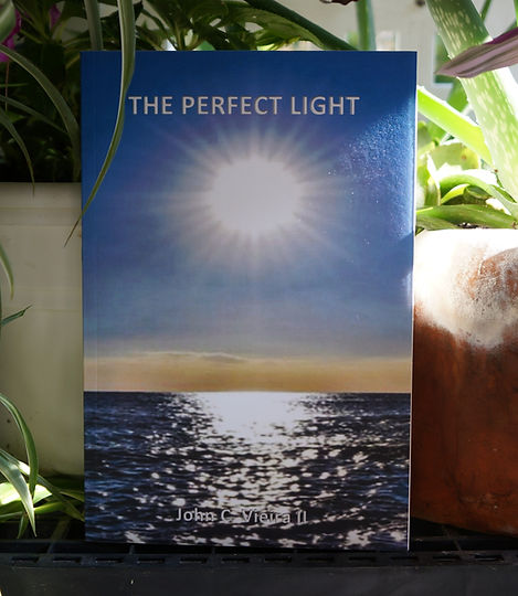 The Perfect Light Web 1.JPG