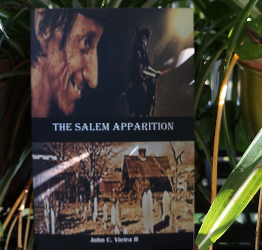 The Salem Apparition Web 1.JPG