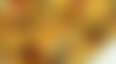 Torta de legumes: prática, saborosa e nutritiva!