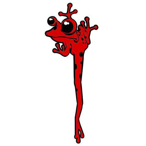 Colorful Animal Designs