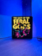 Dungeon Crawler Carl Book 4 (1)