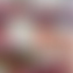 Christmas Gift Guide! 🎄🎁