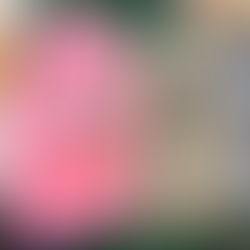 Winter Checklist! ❄