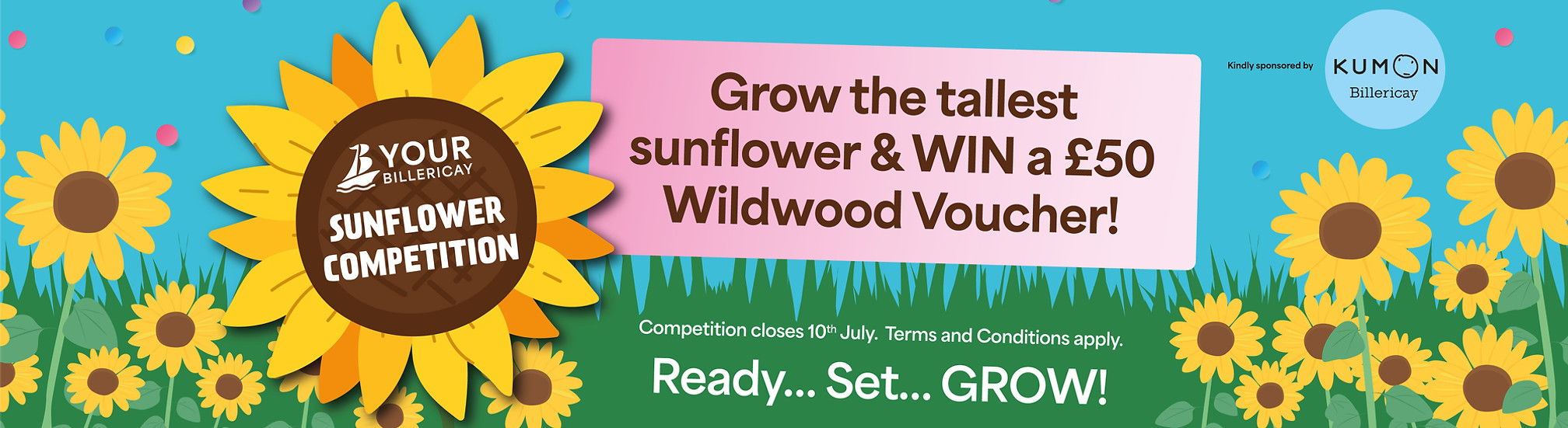 YB_Sunflower_Socials_Webslider.jpg