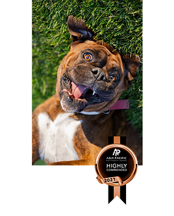 EDB-Photography-LAB-award-dog-portrait-pet-photographer-NZ.png