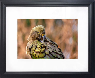 frame-black-kea-photography-fineart-edb-lab-christchurch.jpg
