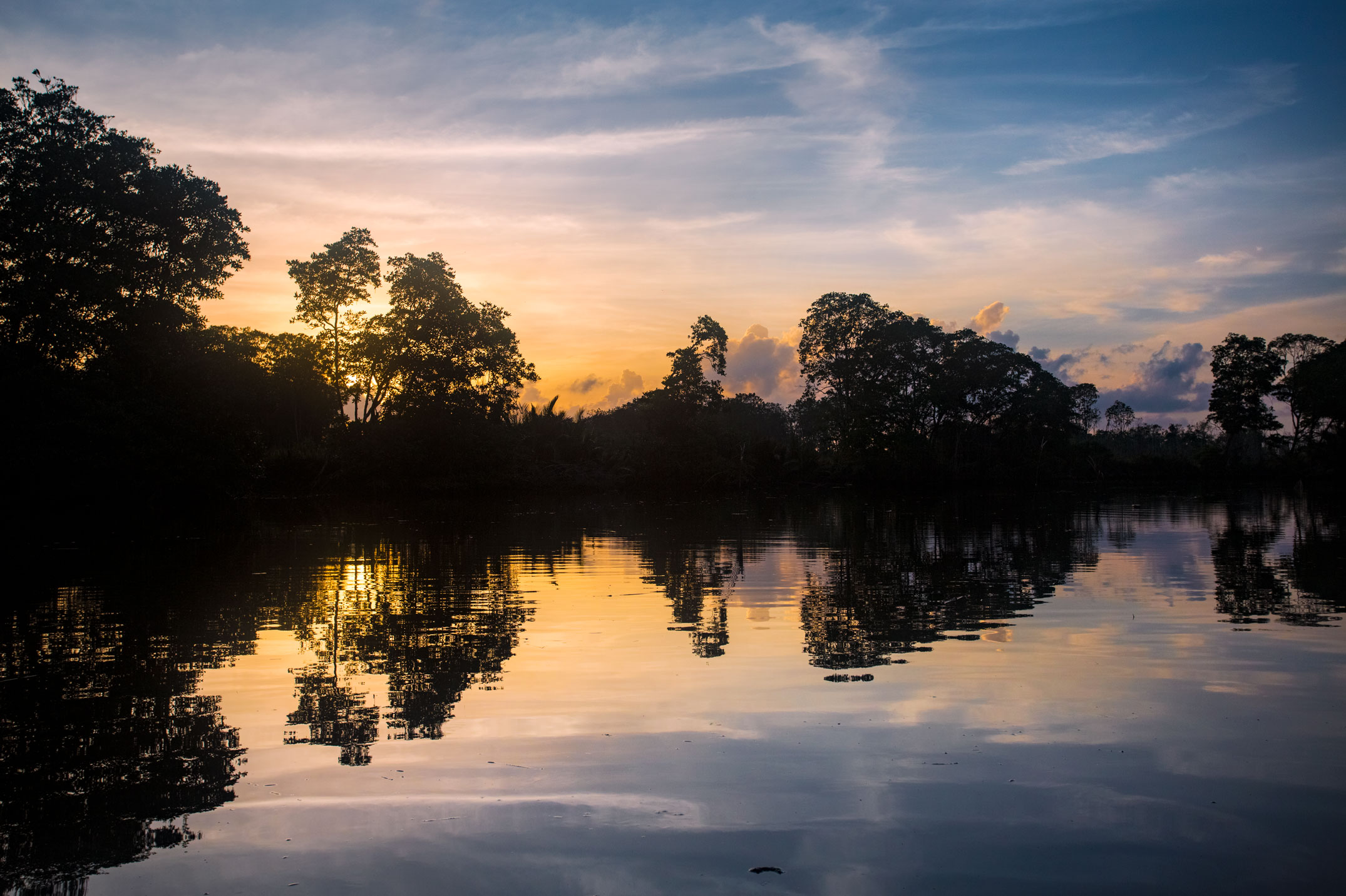 brunei-forest-boat-river-sunset-trees-animal-portrait.jpg