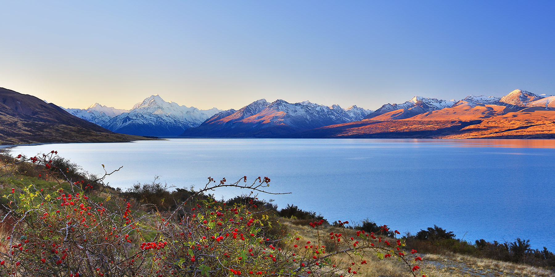 Copy of pukaki-landscape-photography-sunset-cook.jpg