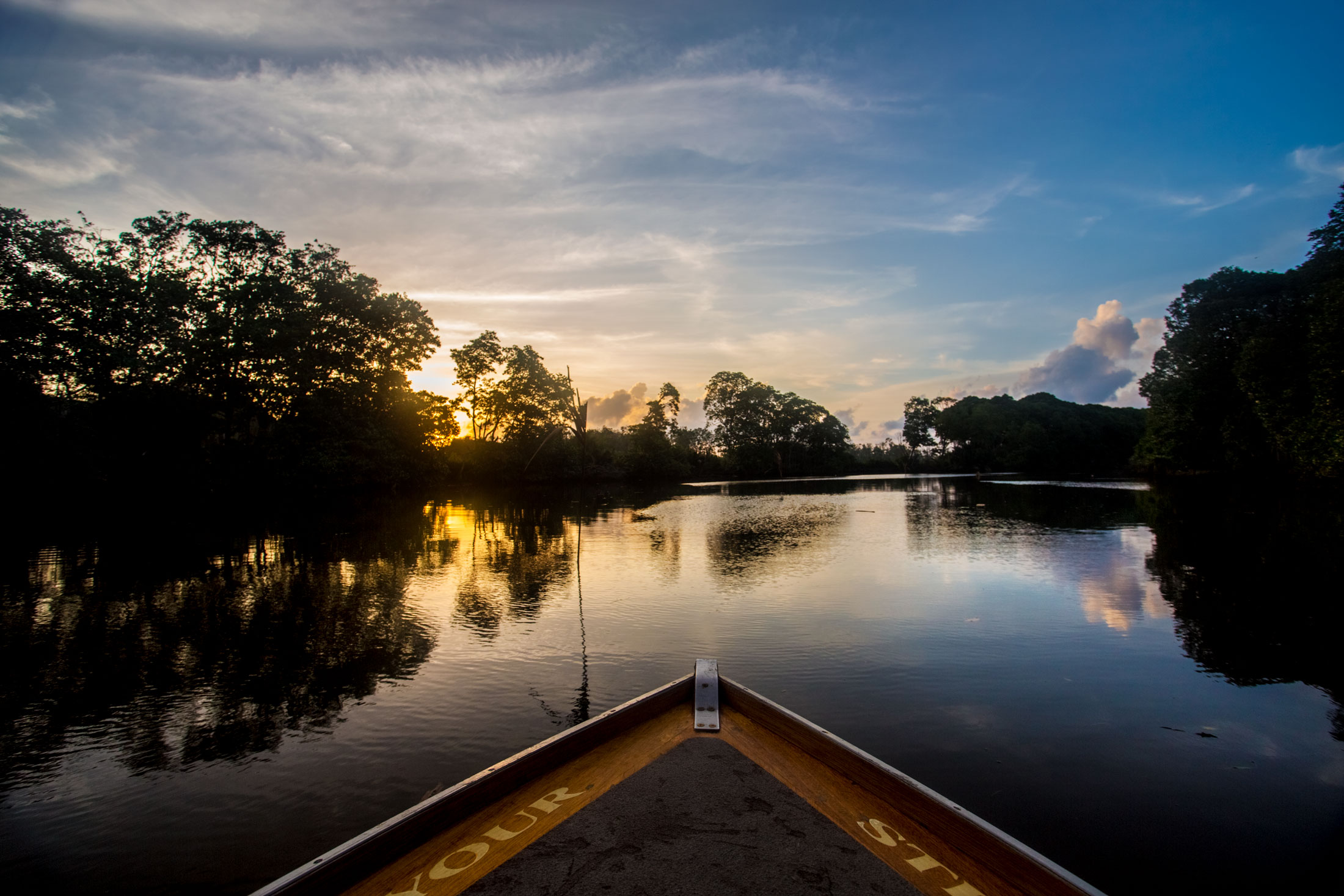 brunei-forest-boat-river-sunset-trees-plants-traveling.jpg