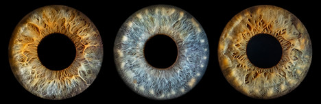 EDB-Photography-LAB-Iris-Photography-eyes-christchurch-auckland-welligton