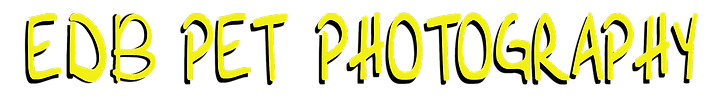 PET Photography logo FIX AUG 2023.png