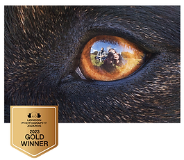 EDB-Photography-LAB-award-dog-eye-macro-pet-photographer-NZ.png