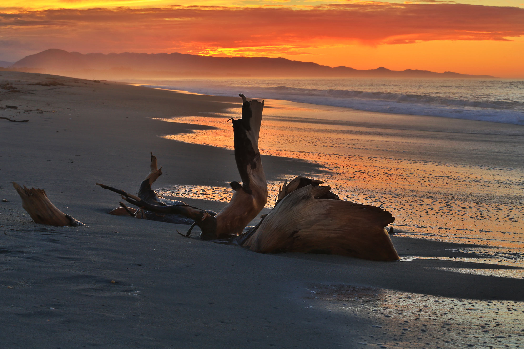 haast-westcoast-sunset-nz-drift-wood.jpg