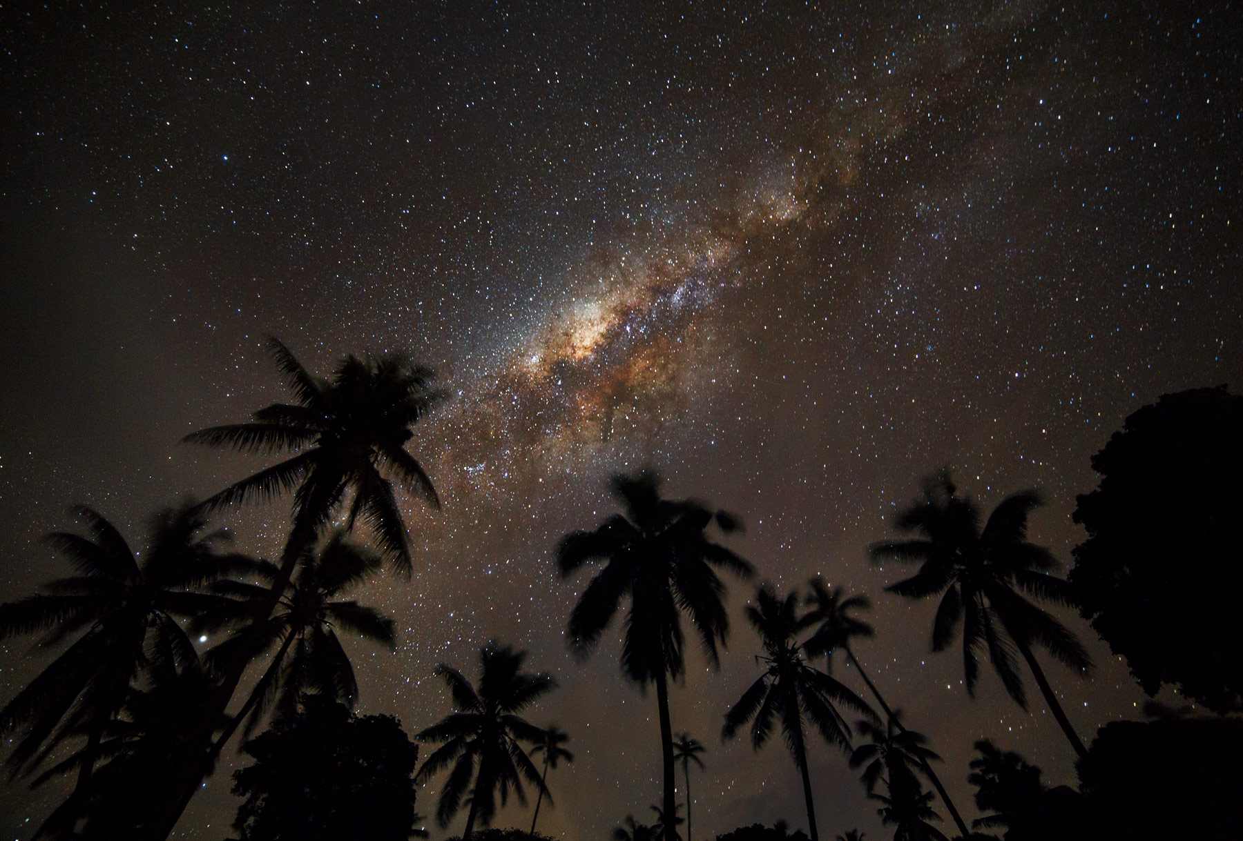 tonga-milkyway-palms-nightphotography-southpacific.jpg