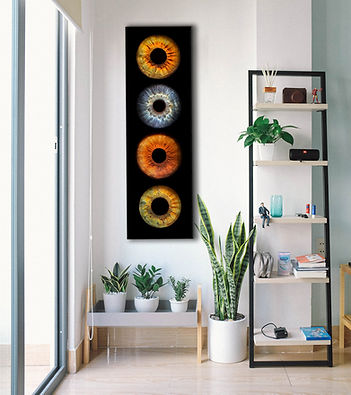 edb-photography-lab-iris-welligton-nz-eyes-photo