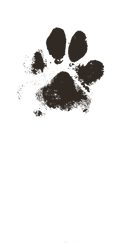 pngwing.com.png