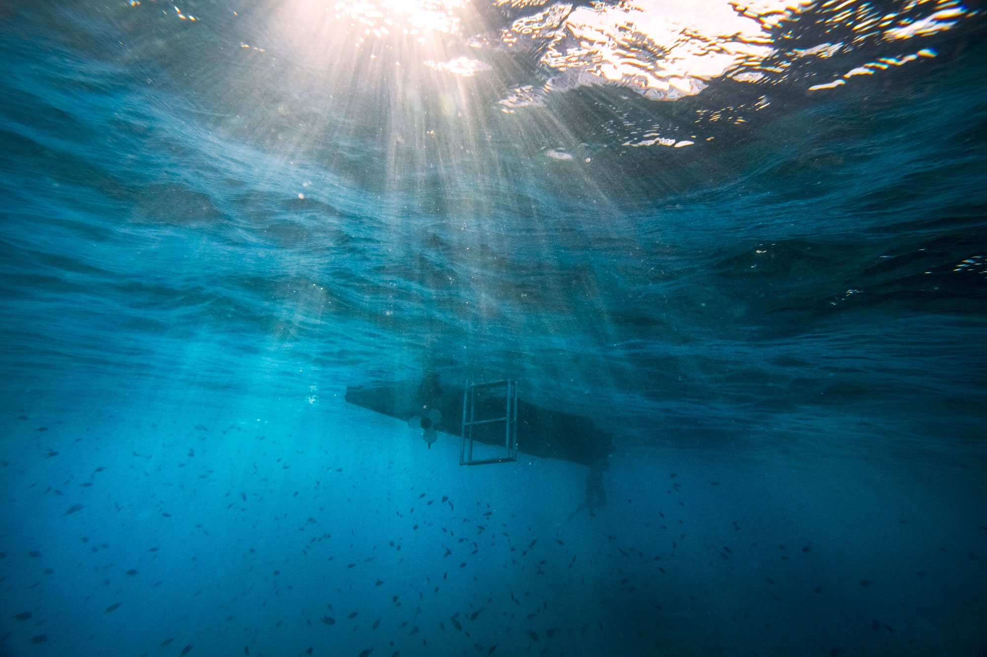 yasawas-islands-fiji-fish-south-pacific-underwater-sunrise-reef-corals-light-seascape-snor