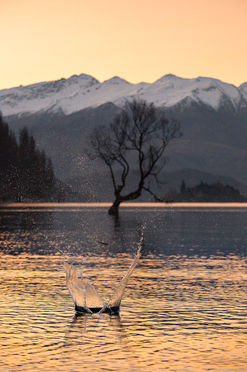 wanaka-tree-original-skimming-stone-spash-edb-photography-lab.jpg