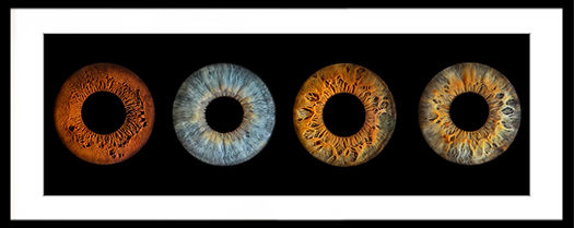 professional-iris-photography-christchurch-panorama-eye-photos