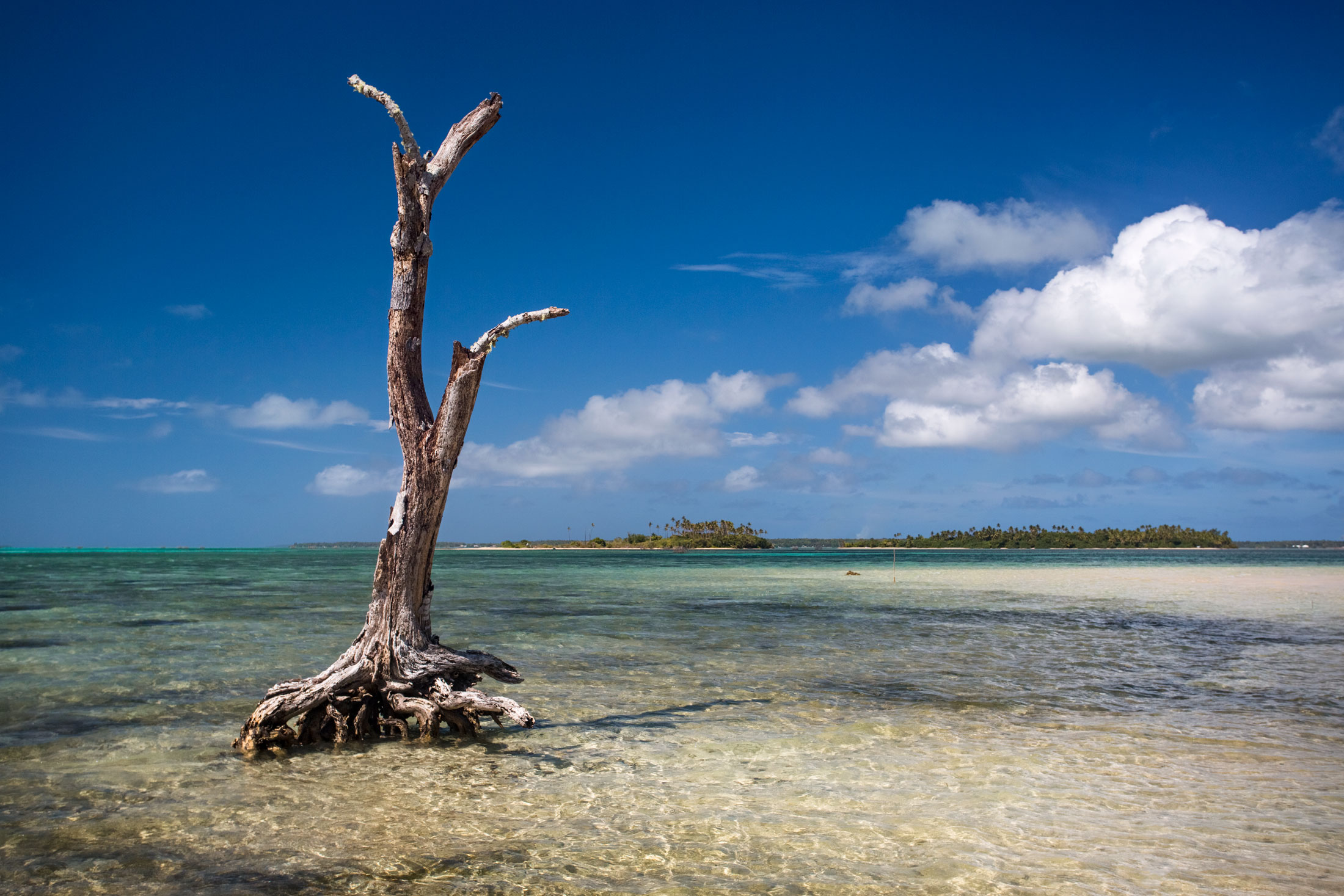 pangaimotu-tongatapu-tonga-paradise-beach-edb-photography-lab-pacific-.jpg
