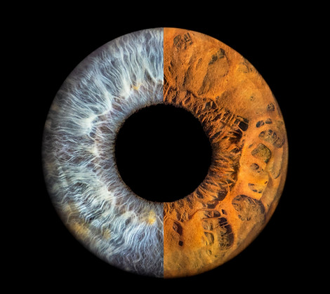 WEB-EDB-Photography-LAB-Bruni-&-Neill-Merged-IRIS.jpg