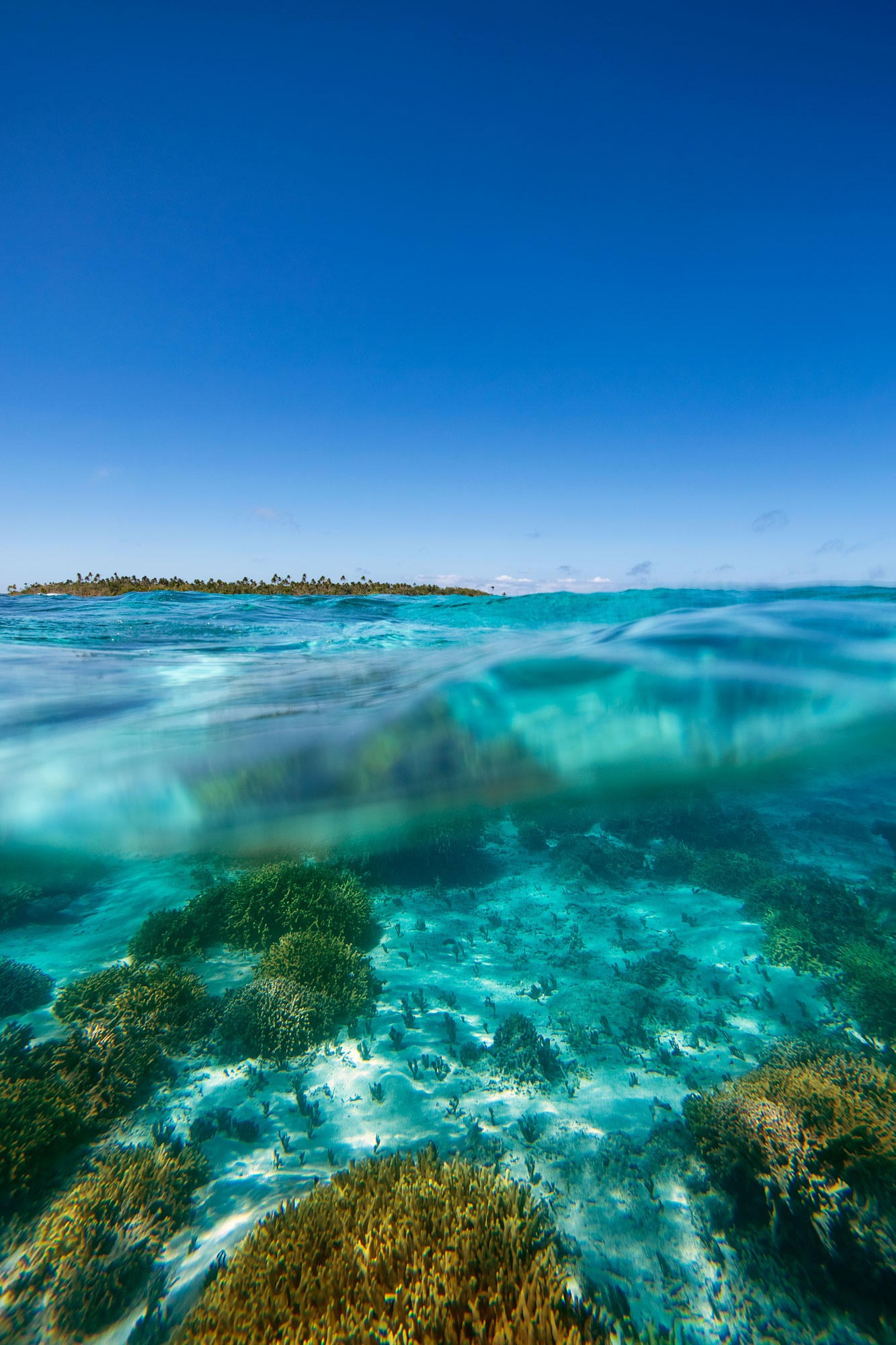 uoleva-island-lagoon-underwater-dome-tonga-seascape-ocean-edb-photography-lab-pacific-.jpg