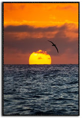 wallart-edb-photography-lab-canvas-ocean-new-zealand-prints.jpg