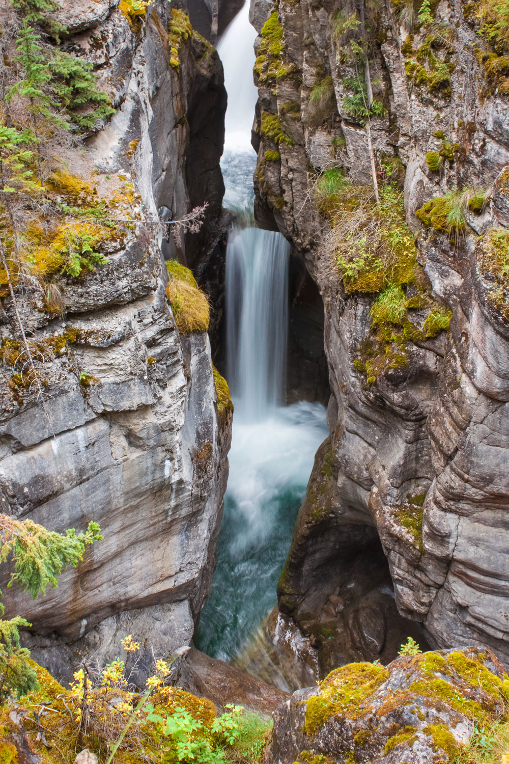 canada-canyon-waterfall-britishcolumbia-wild-photographer.jpg