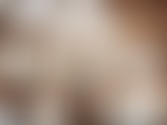 空間デザイン事業の紹介と会社概要