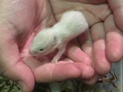 FA913DCB-CCA3-4191-B7E6-D39D1B907EFD_edi