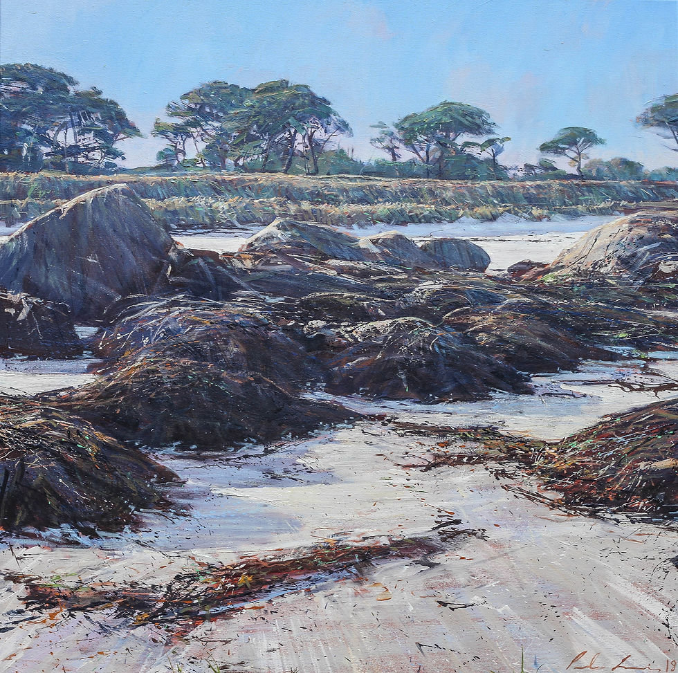 rushy bay beach at low tide oil o