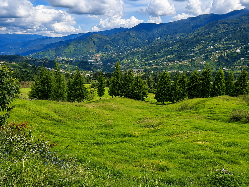 Lotes en Medellín