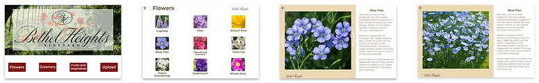 Screenshot 2024-12-06 120727.png