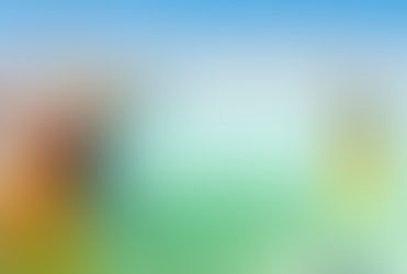 लिथियम के लिए अब चीन पर निर्भर नहीं रहेगा भारत, कर्नाटक में मिला भंडार