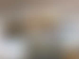 Bharat 24: गगनयान मिशन पर चिकन बिरयानी, खिचड़ी और अचार साथ लेकर जाएंगे भारतीय अंतरिक्षयात्री