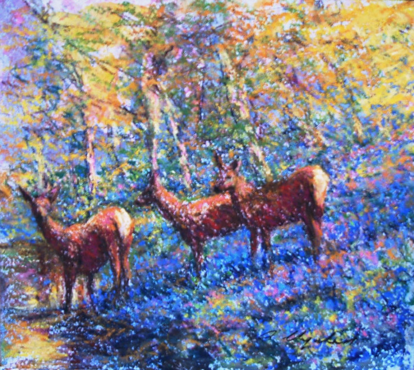 Bright shafts of sunlight permeate this woodland idyll, revealing the deer by the waters edge and the vibrant colour of the Bluebells on the forest floor.