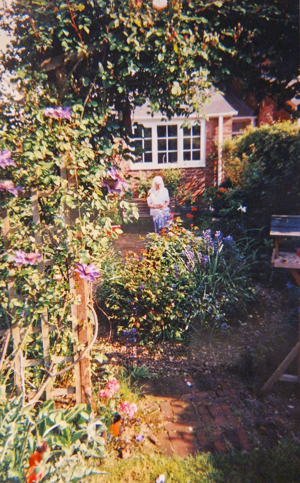 My tranquil garden refuge, for reflection and contrmplation with the natural world.