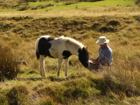 The Dance of Art and Life: A Journey of Connection