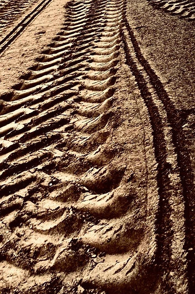 Excavation Services