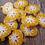 Thumbnail: Wooden Bauble Button :: Yellow Star