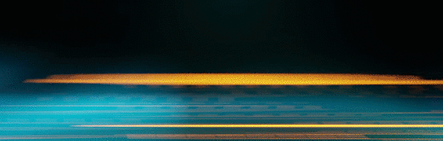 2_Banner 100.gif