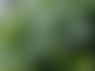 Guide to Crafting Green Flower Arrangements