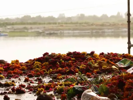 Why be a Sustainable Floral Designer?